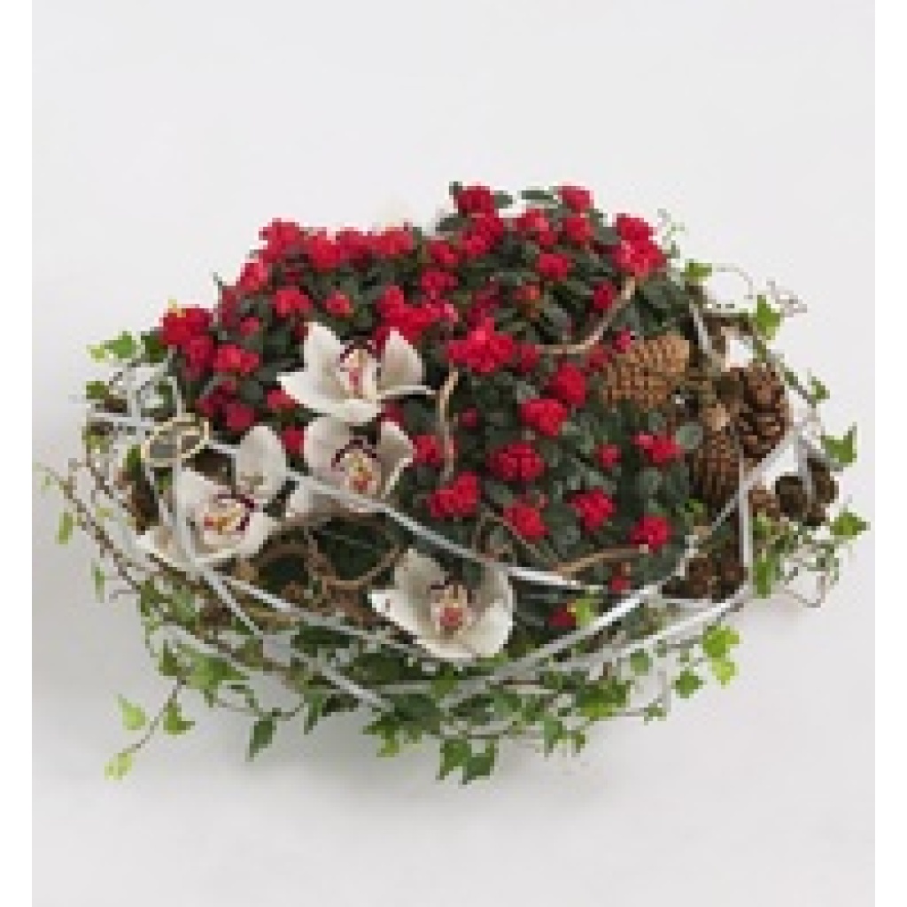 Julegruppe med Asalia