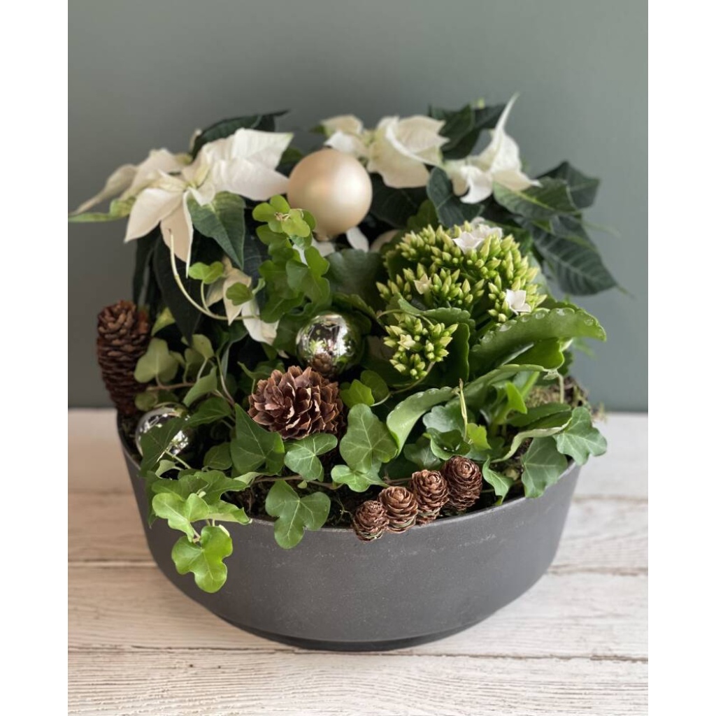 Stor sammenplanting hvit