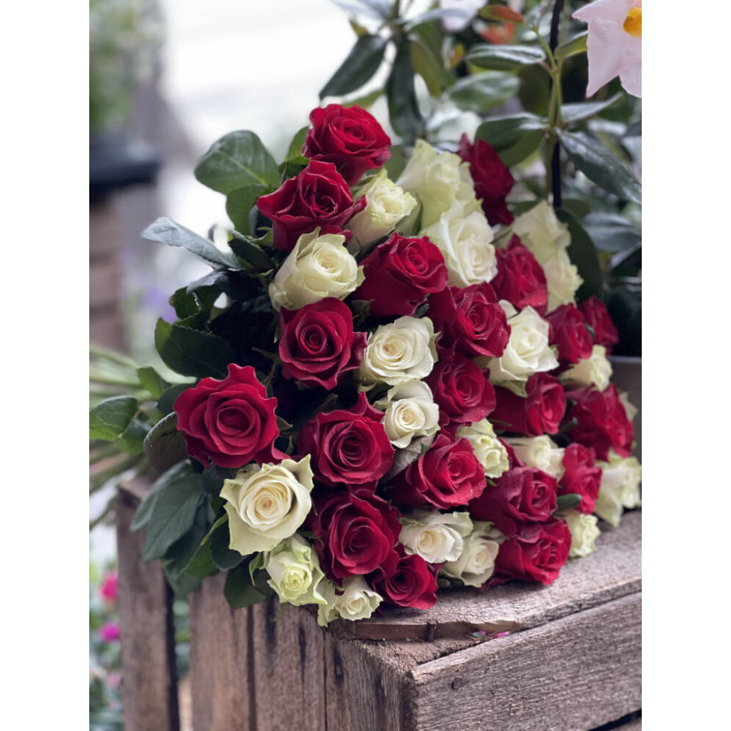 40 røde og hvite roser